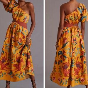 Farm Rio X Anthropologie one shoulder maxi dress